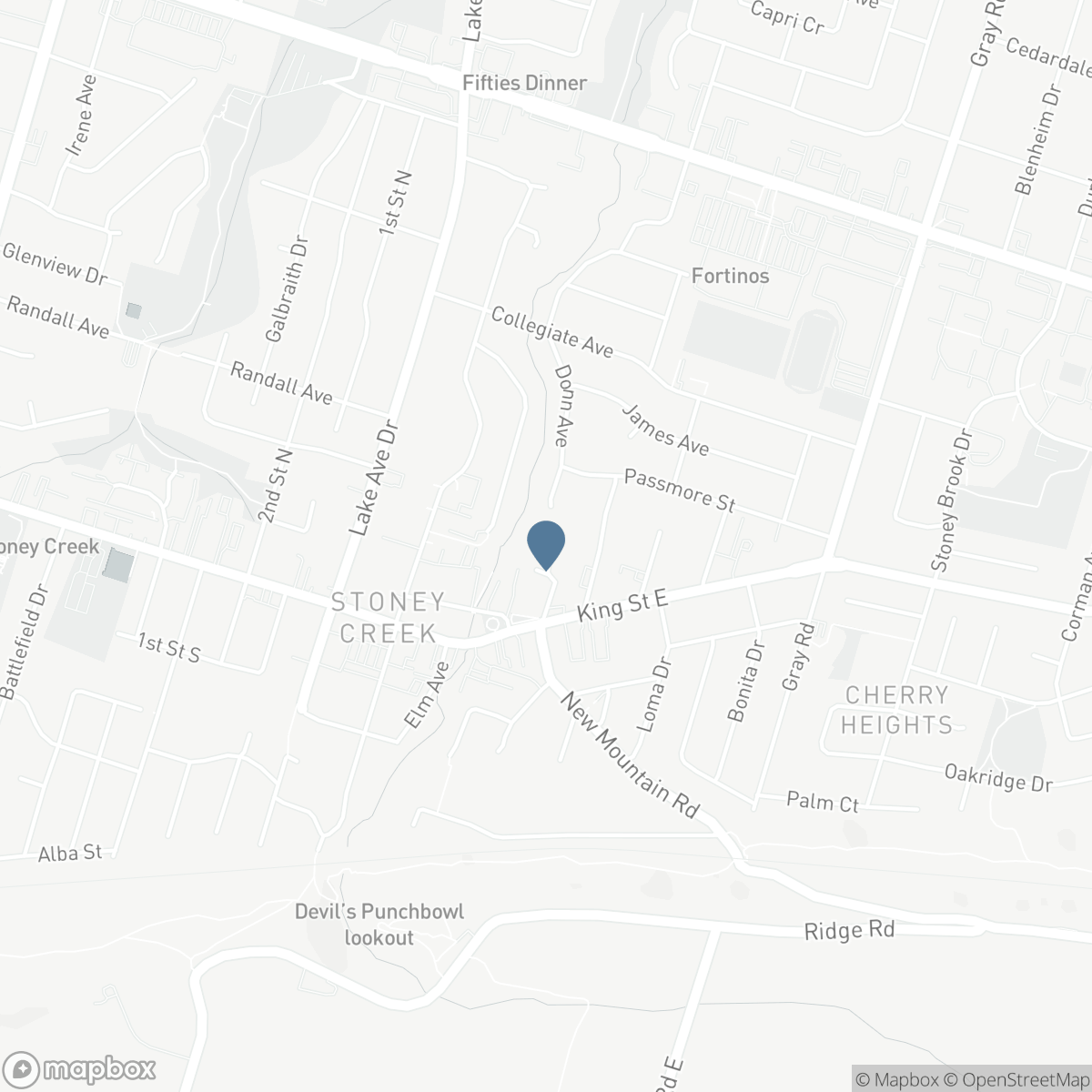 23 ROSEDALE Court, Hamilton, Ontario L8B 4G1